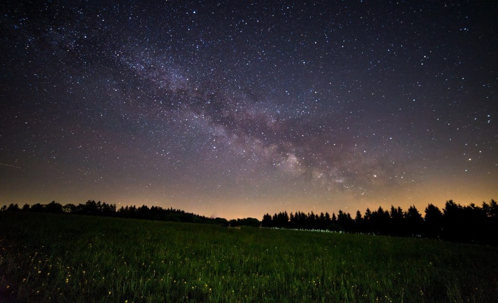 a field of grass with stars in the sky