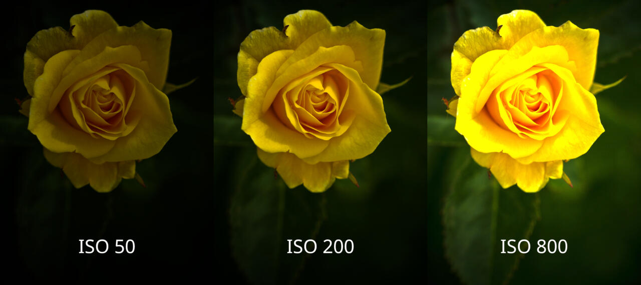 Iso-comparison-1-scaled
