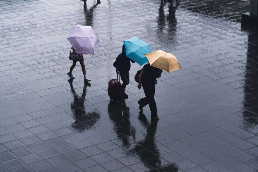 people with umbrellas street